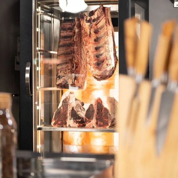 Шафа для дозрівання м'яса FRSF1GT GGM GASTRO (BI)031925 фото