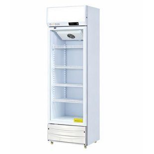 Холодильна шафа CD300D GOODER (BV)038093 фото