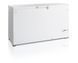 Скриня морозильна FR505 SL TEFCOLD (DFBU)056413 фото 1