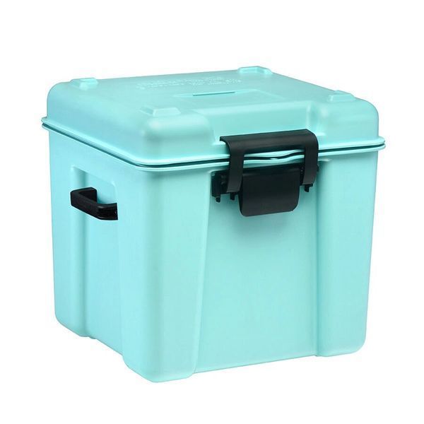 Термоконтейнер медицинский F25 TERMOBOX (CJ)010986 фото