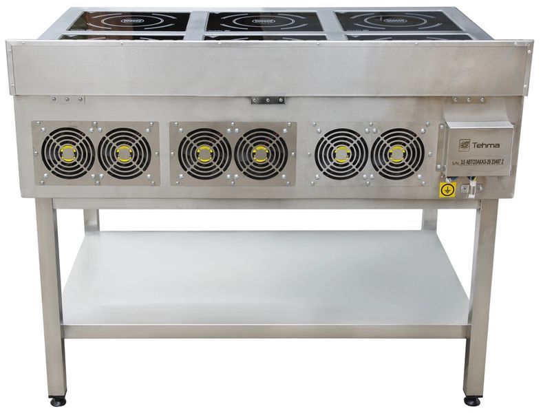 Профессиональная плита индукционная Modular TMI28M6 Tehma (1100х700) (AS)031376 фото
