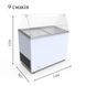 Вітрина для морозива VENUS 36 VETRINE CURVED ECONOMY Crystal (гнуте скло, без задніх дверей-запасника) (BQ)056362 фото 2