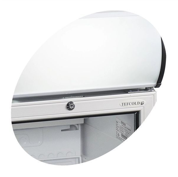 Барна морозильна шафа FS80CP Tefcold (DF)033189 фото